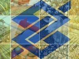 Banco do Brasil: recursos de pré-custeio já estão disponíveis em fevereiro