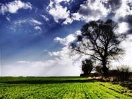 Dia de Campo da FundaÃ§Ã£o MT comeÃ§a nesta sexta-feira em Nova Mutum