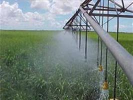 Expodireto marca consolidação de programa estadual de irrigação 