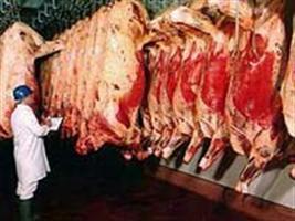 Brasil na liderança do mercado de carne