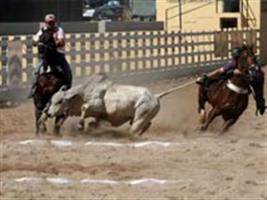 Adab fiscaliza animais na 1ª Vaquejada de Valença/BA
