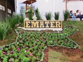 Trabalho de jardinagem da Emater/RS-Ascar encanta os visitantes na Expofred 2016