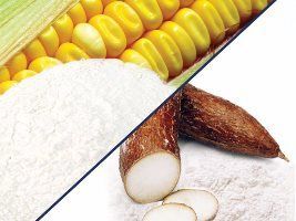 Governo vai vender milho a balcão e derivados de mandioca