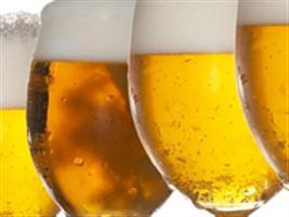 Brasileiros desenvolvem cerveja com formigas