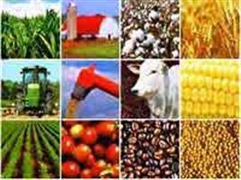 Preços de commodities sobem 0,58% em abril, diz BC