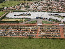 Na contramão da crise, cafeicultores do maior estado produtor brasileiro se unem para melhorar produção e ganhar competitividade