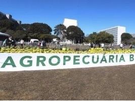 No Dia do Agricultor, Brasil quebra recorde de maior mesa de frutas do mundo