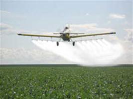 A crescente procura pela aviação agrícola 