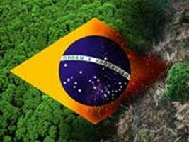 Brasileiro é eleito para a presidência do Comitê de Medidas Sanitárias e Fitossanitárias da OMC