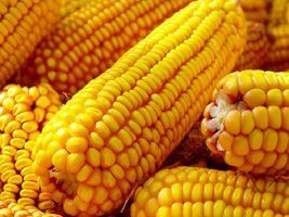 Queda das exportações de milho em outubro e recuo dos preços