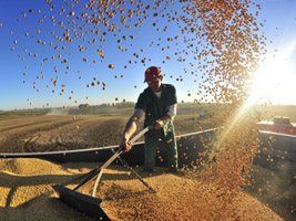 Anec vê melhora nas exportações de grãos do Brasil em 2017, com recorde na soja