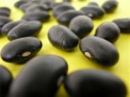 Efeito da submersão em água de sementes de feijão na germinação e no vigor