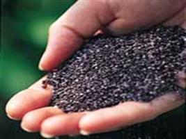 Produtividade e acúmulo de potássio na soja em função da antecipação da adubação potássica 
