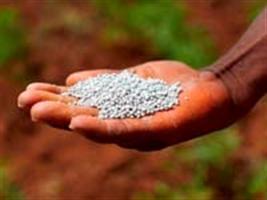 Importação de fertilizantes no MT sobe 33%