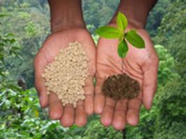 Deutsche Bank aponta Fertilizantes Heringer como atrativo player