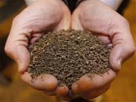 Adubação com fósforo a taxa variável em superfície é de fato agricultura de precisão?