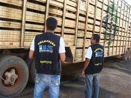 Operação Fronteira divulga relatório do primeiro mês 