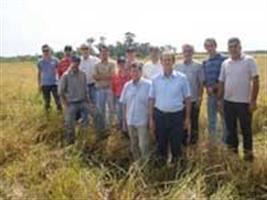Irga promove Dia de Campo em Palmares do Sul na próxima sexta-feira