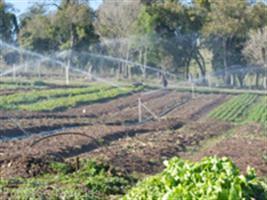 Programa Irrigando a Agricultura Familiar leva água à região de Arroio do Meio 