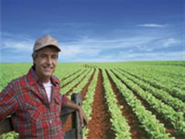 Eficiência no campo e vendas estratégicas