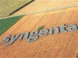 Syngenta leva novidades de soja e milho para o Show Rural Coopavel