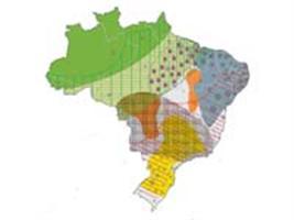 Novos mapas do IBGE auxiliam pesquisadores e gestores na área agrícola