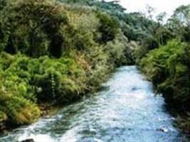 Proprietário rural é multado em R$ 5 mil por degradar mata ciliar