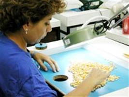Genes de Bacillus thuringiensis: uma estratégia para conferir resistência a insetos em plantas