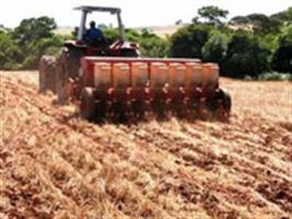 Propriedades físicas do solo e produtividade de arroz irrigado por inundação em plantio direto