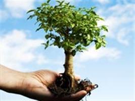Responsabilidades no licenciamento ambiental e no estudo de impacto ambiental