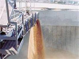 TCU aponta irregularidades na Conab