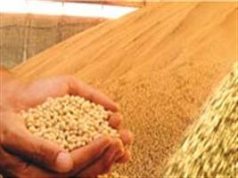 Tocantins registra superávit de 13% em exportações