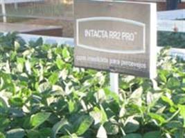 Monsanto mostra benefícios da INTACTA RR2 PRO™ na Expodireto Cotrijal 2013