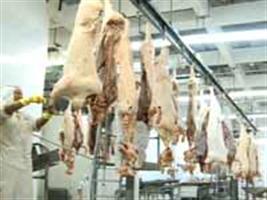 Volume de carne suína para exportação caiu