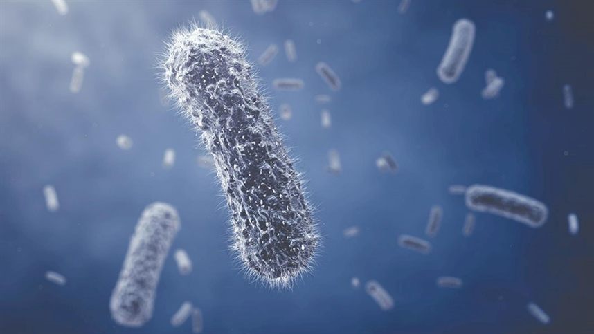 Resultado de imagem para Bactérias modificadas criam seda biossintética