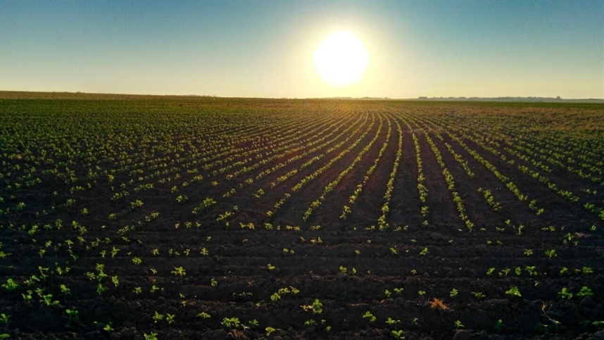Modelos sustentáveis da agricultura brasileira: um exemplo para o mundo