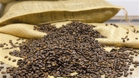 Safra brasileira de café estimada em 54,7 milhões de sacas
