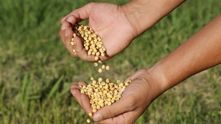 Bioinsumo para soja é apresentado na Agrobrasília 2024