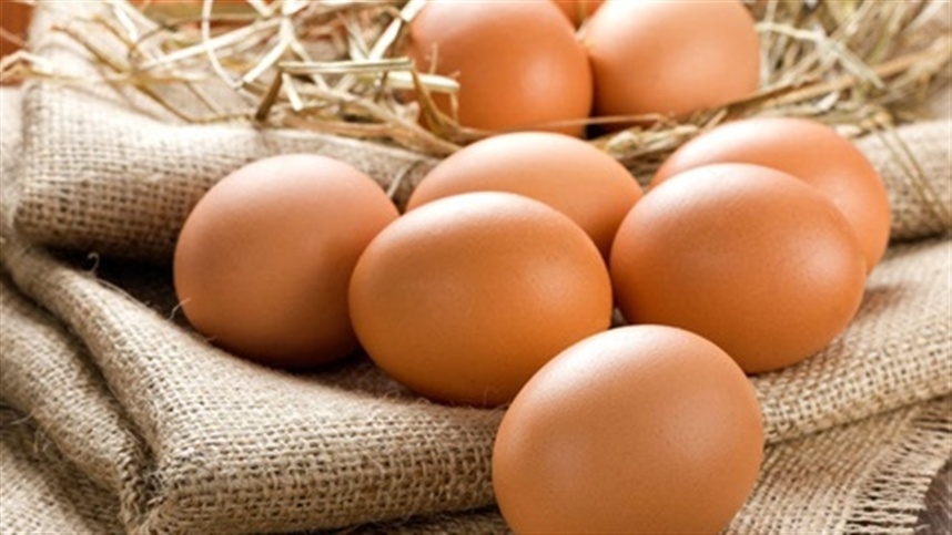 Preço do ovo apresenta leve aumento no Paraná