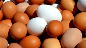 Ovos: produtores sofrem nova queda no preço, a 3ª na semana