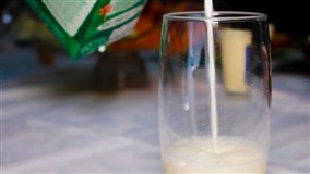 Câmara Setorial debate estratégias  sobre o leite