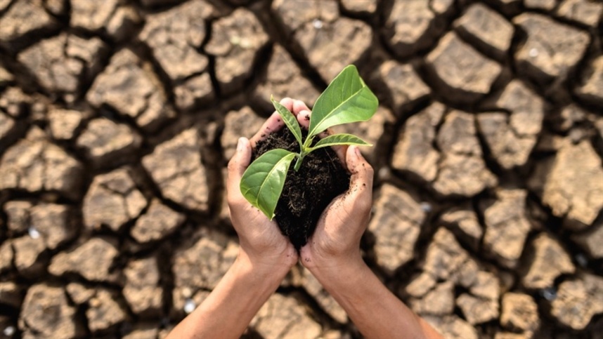 Resseguro ganha protagonismo no agro diante da escalada do risco climático e da pressão sobre o crédito rural