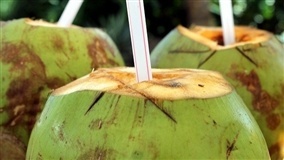 Alimentos à base de coco estão em alta no mercado brasileiro