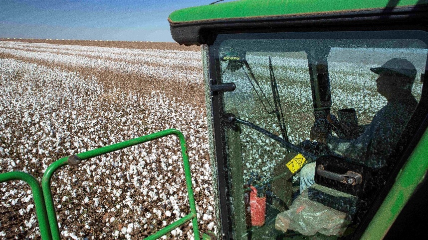 Syngenta leva inovações estratégicas para os principais desafios da cotonicultura no 15º Congresso Brasileiro do Algodão