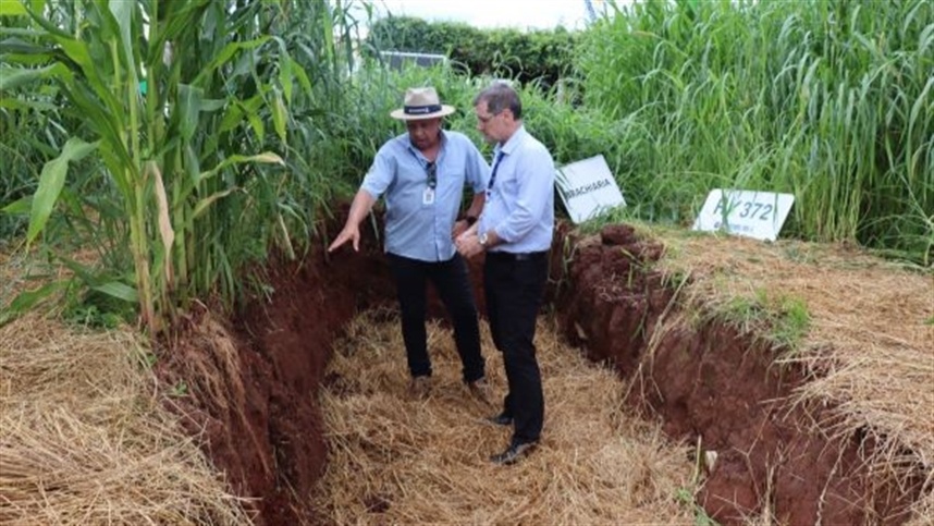Expodireto Cotrijal: Operação Terra Forte evidencia práticas que tornam o solo mais produtivo e resiliente à seca
