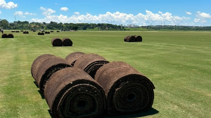 A ciência agronômica por trás dos gramados: dos eventos esportivos mundiais ao paisagismo