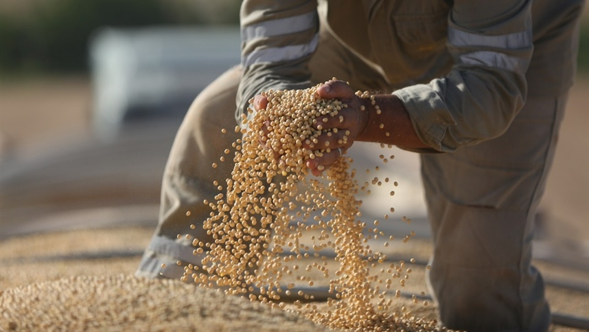 Rio Grande do Sul em risco: como afeta o mercado da soja?