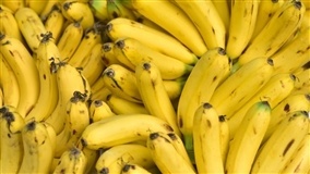 Banana: exportações brasileiras recuam na parcial do ano