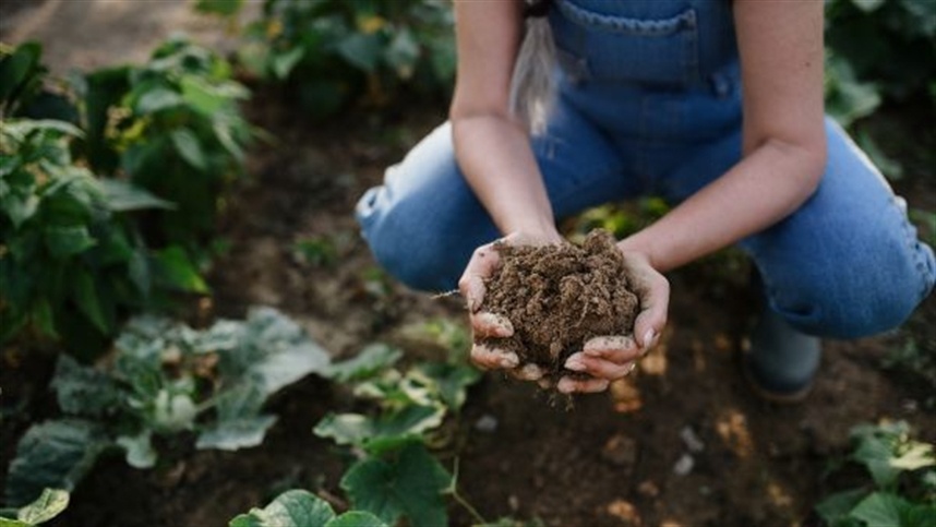 Brasil sedia pela primeira vez um dos principais fóruns globais sobre agricultura regenerativa