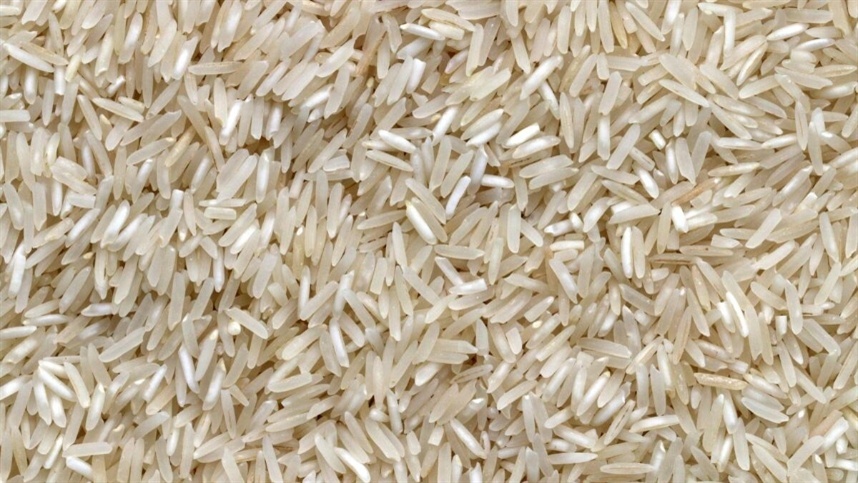 Prejuízos: arroz paralisado por tempestades no RS
